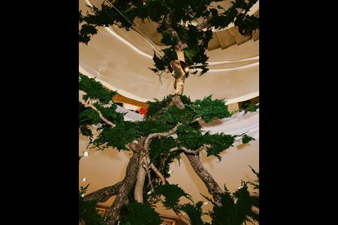 Live tree in Alo store, Regent Street